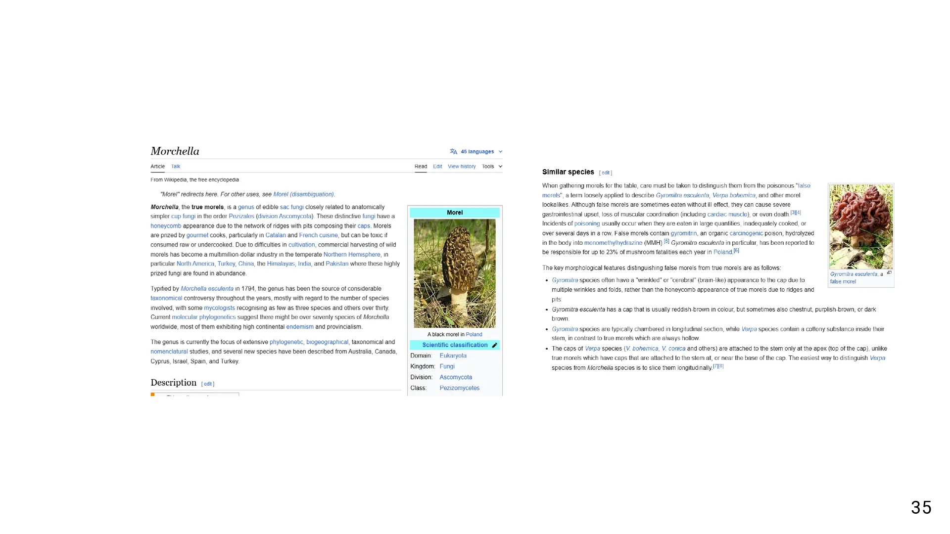 Case study