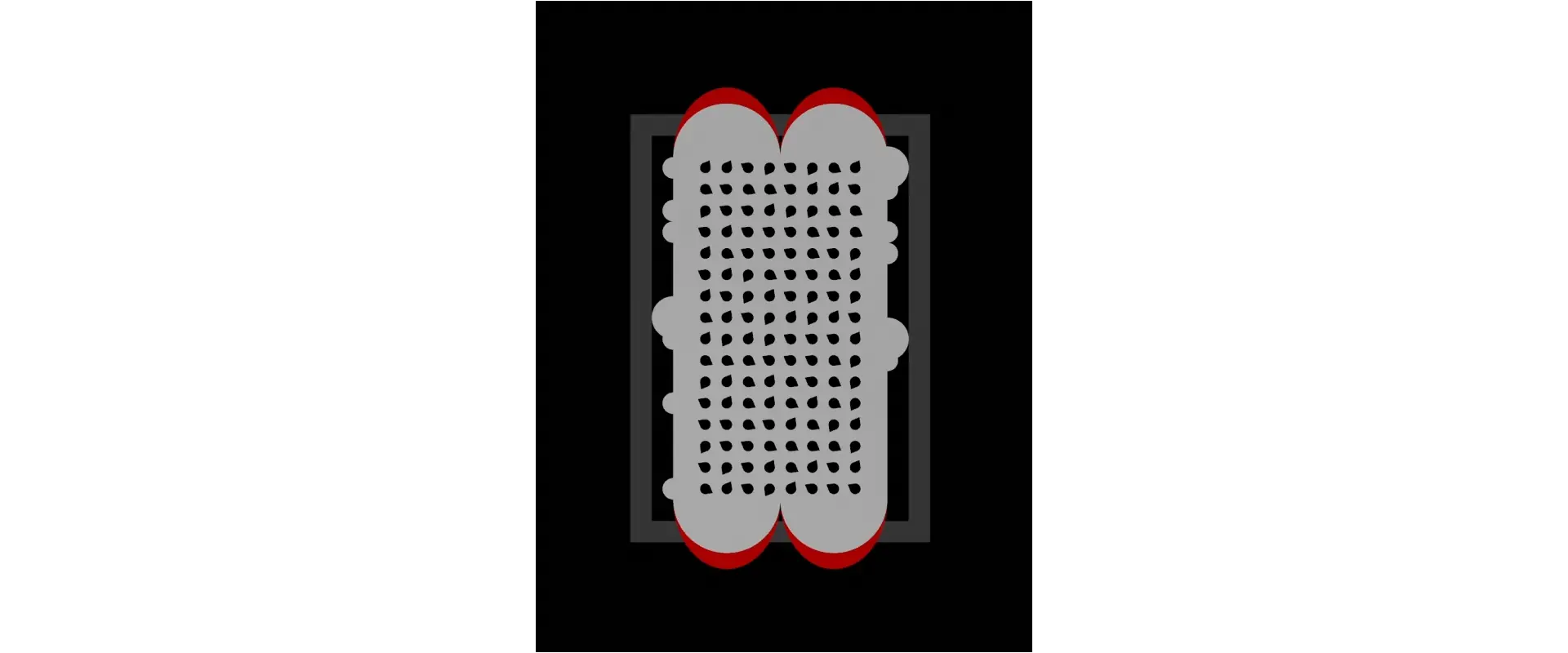 SeedBank